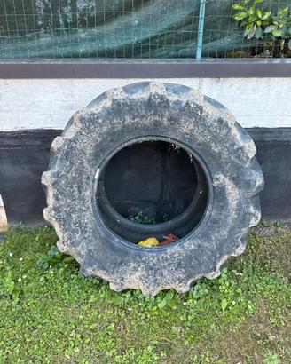 Gomma ruota trattore crossfit palestra pesi