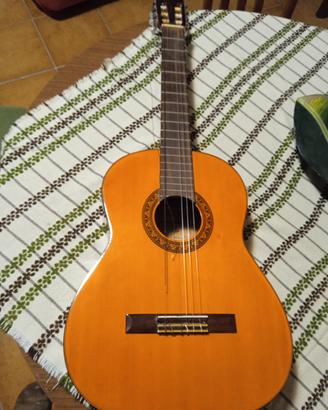 chitarra Sakura 