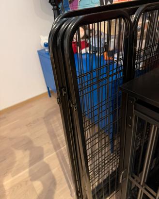 Recinto kennel cane 80x100 coniglio gatto ferro