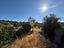 Immagine 27