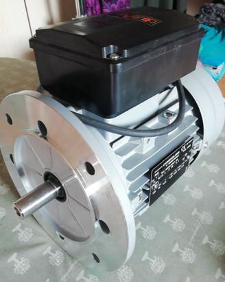 Motore elettrico