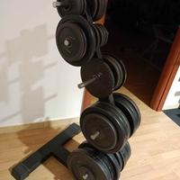 dischi palestra 