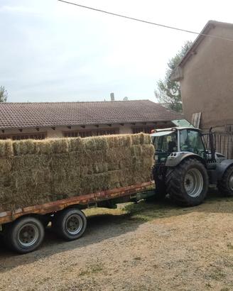 ballette di fieno 