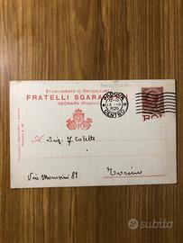 Cartolina postale intestata orticoltura