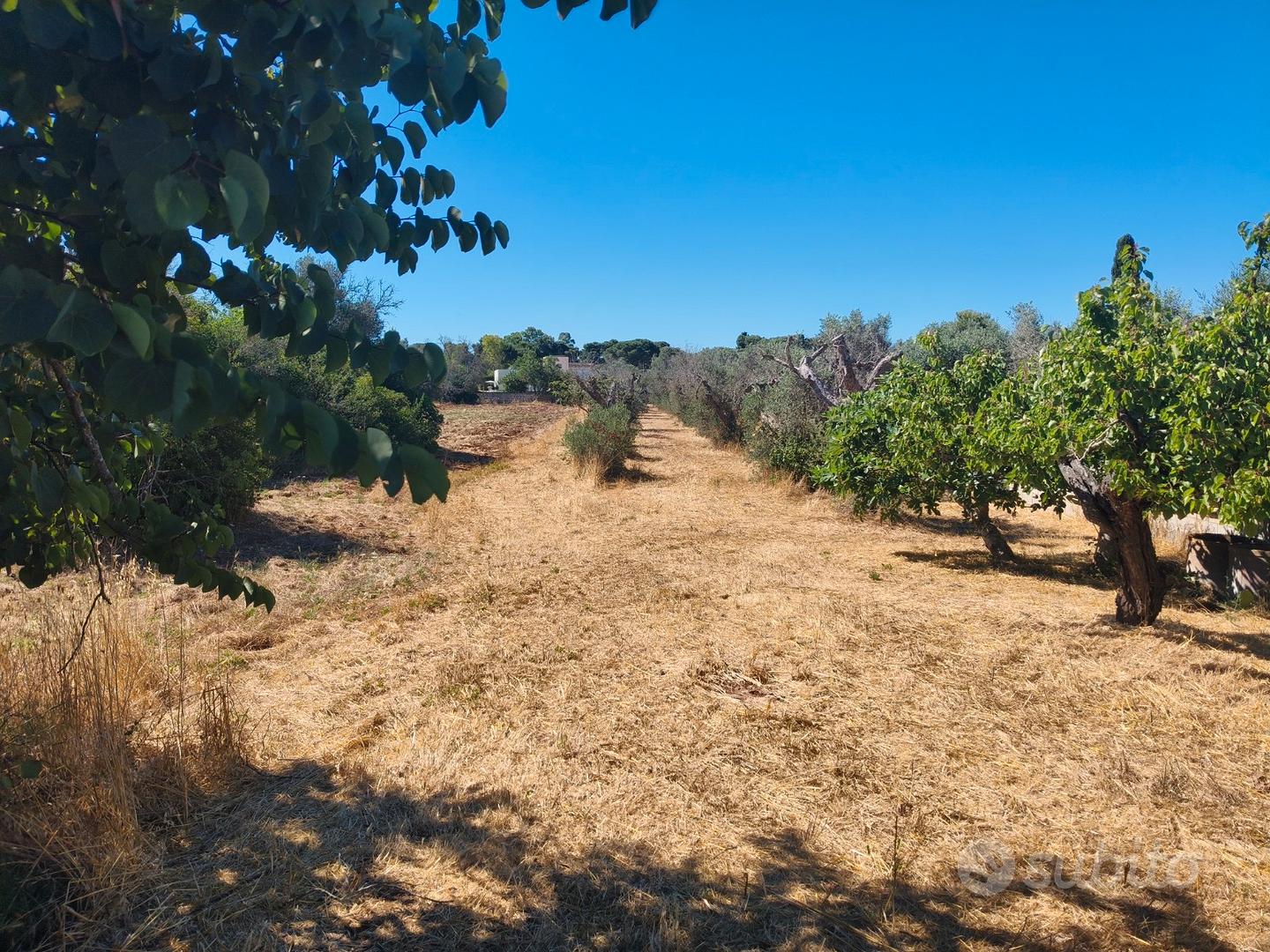Terreno edificabile Nardò strada Masserei - Vista 3
