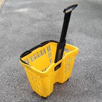 Carrello spesa due ruote