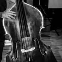 contrabbasso di liuteria 