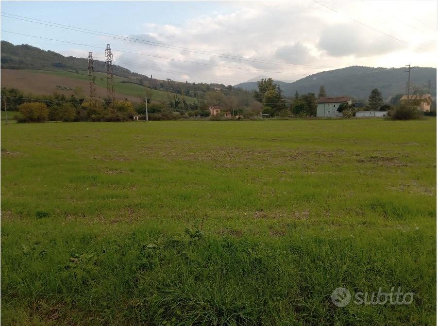Per agrivolataico a serra san quirico - Vista 2