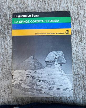 libro "La sfinge coperta di sabbia"