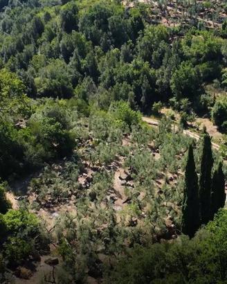 Terreno di 12255 m² a Itri