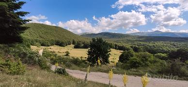 Appartamento Campo Felice - Casamaina