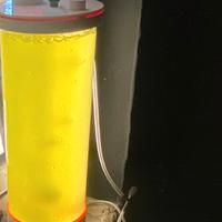 Phyto plancton super valido testato