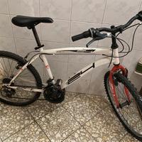 Bici usata
