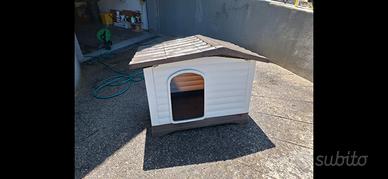 Cuccia per cani
