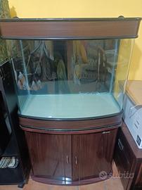 Acquario 150 litri completo di mobile 