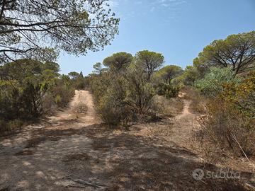 Terreno panoramico