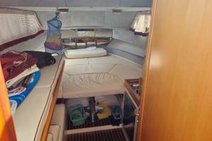 Triakis 29