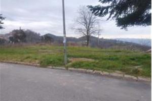 RGE 49/2024 - Tribunale di Urbino - Lotto 2