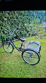 bicicletta triciclo