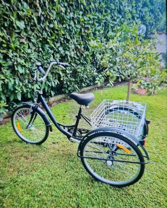 bicicletta triciclo