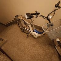 Bicicletta elettrica 
