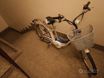 Bicicletta elettrica 