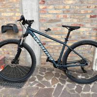 MTB Specialized 29”