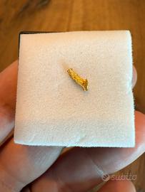 Pepita oro da collezione