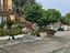 Immagine 29