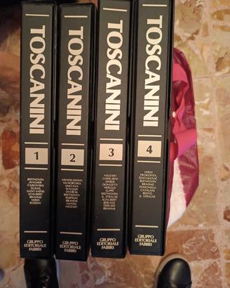 Collezione dischi
