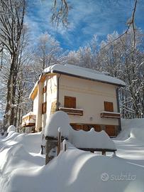 Chalet di lusso monte amiata per gruppi