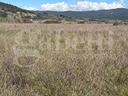 terreno-agricolo-massa-marittima