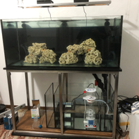 Acquario marino 120x50x50 13mm