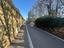 Immagine 11