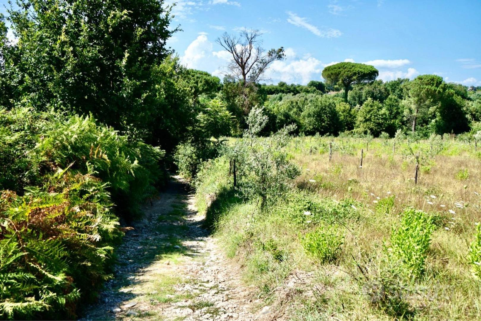 Terreno Agricolo - Sessa Aurunca - Vista 5