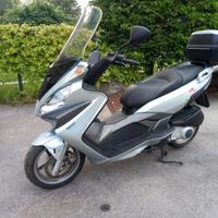 SCOOTER Malaguti Madison 250 - 2008-PARI AL NUOVO