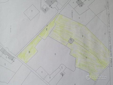 Capannone rurale e terreno coltivabile San Cesario - Altro