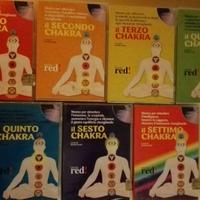 Guida audio ai Sette Chakra (Red Edizioni)