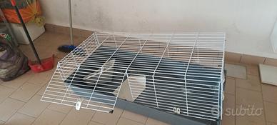 accessori per animali