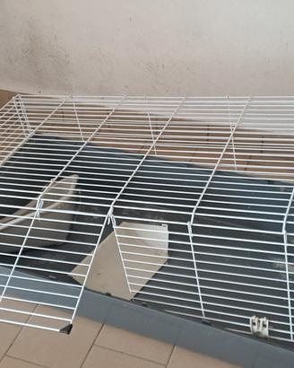 accessori per animali