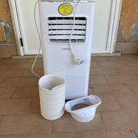 Condizionatore pinguino howell