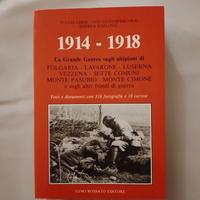 LIBRO GRANDE GUERRA 1914-1918