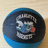 Mini pallone da basketball SPALDING CHARLOTTE HORN