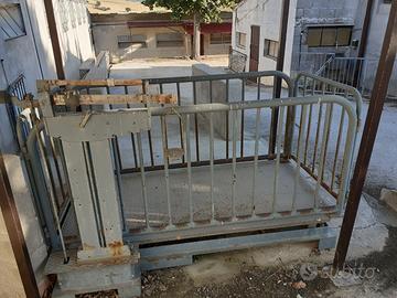 Bilancia per animali