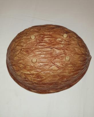 ciotola guscio 
