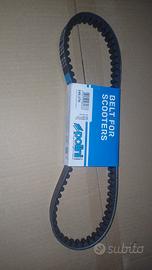  cinghia belt for scooters polini 