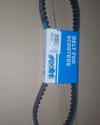  cinghia belt for scooters polini 