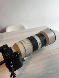 Sony FE 100-400 mm f/4.5-5.6 GM OSS