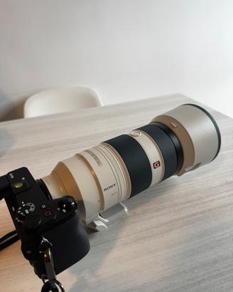 Sony FE 100-400 mm f/4.5-5.6 GM OSS