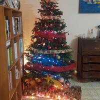 Albero di Natale grandissimo!